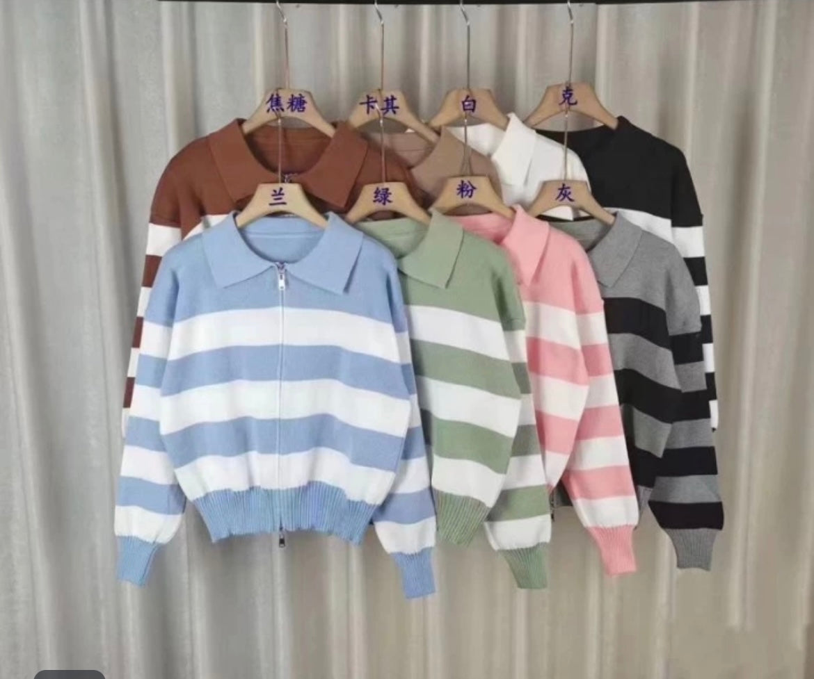 Pastels stripes zipper jacket